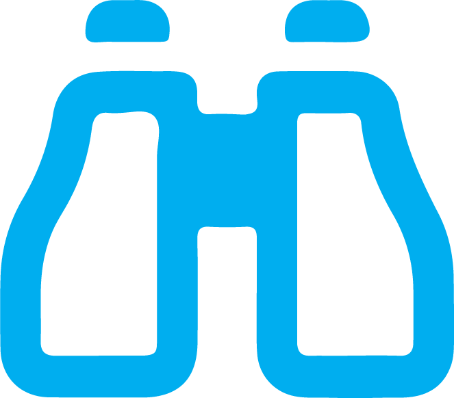Vision Icon